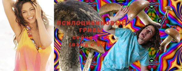 гашик Абинск