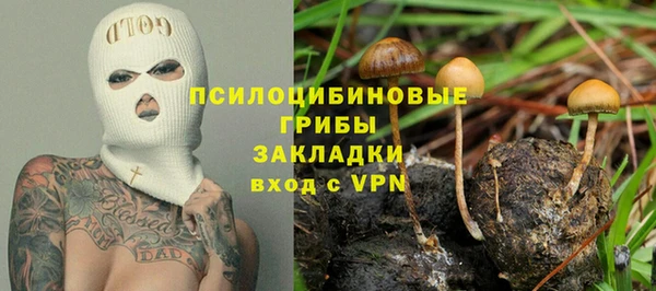 трава Абаза