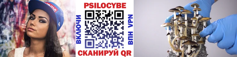 Псилоцибиновые грибы Psilocybine cubensis  где купить наркотик  Павловский Посад 